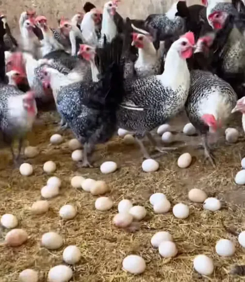 Bài viết nổi bật