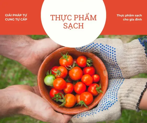 Cách chọn giống gà cảnh nào cho người mới nuôi