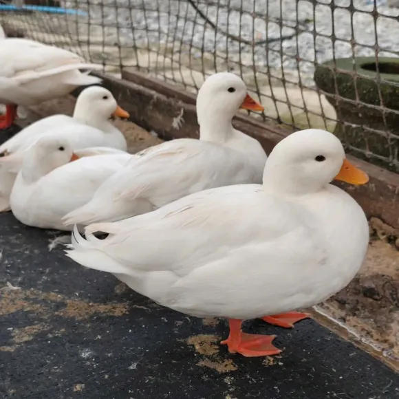 Bài viết nổi bật