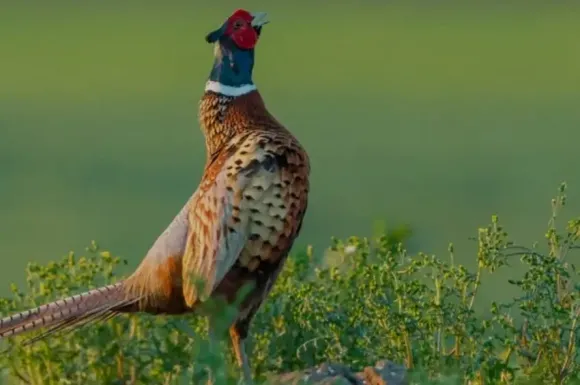 Bài viết nổi bật