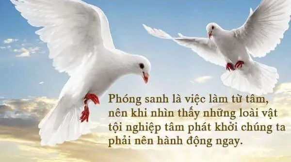 bồ c&acirc;u Titan ph&oacute;ng sinh