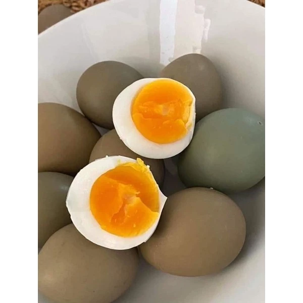 Gà Serama (Gà tre Mã Lai)