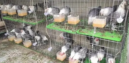 TRI THỨC NHÀ NÔNG