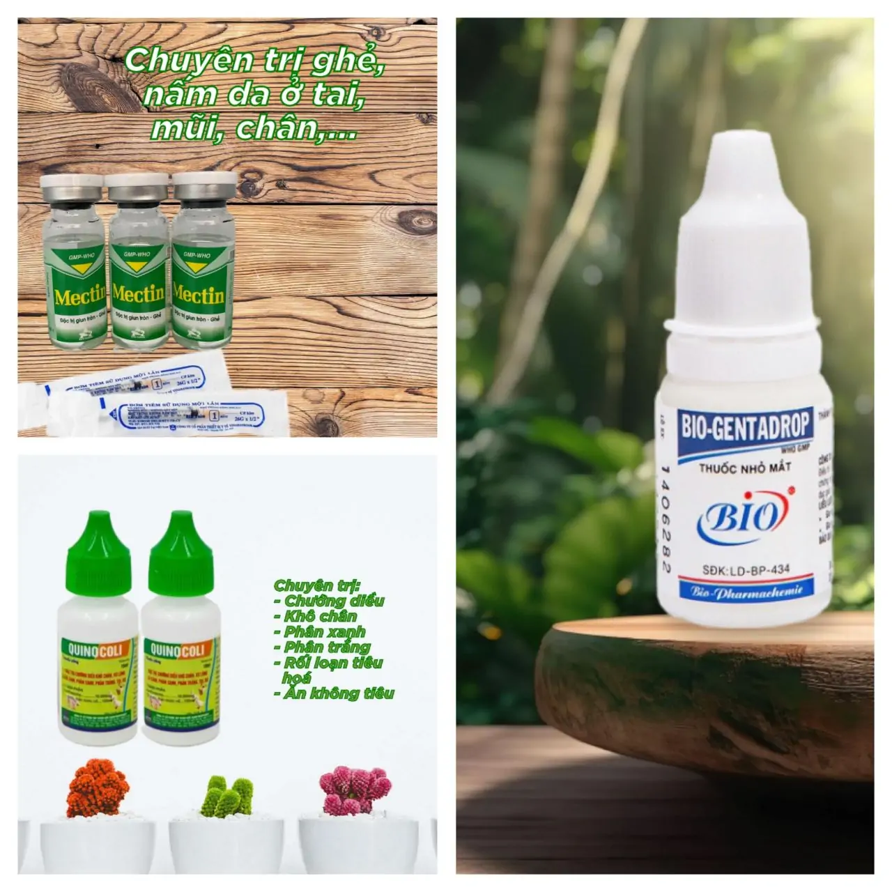 HƯỚNG DẪN CHĂM SÓC GIA CẦM VÀ PHÒNG TRỊ CÁC BỆNH THƯỜNG GẶP