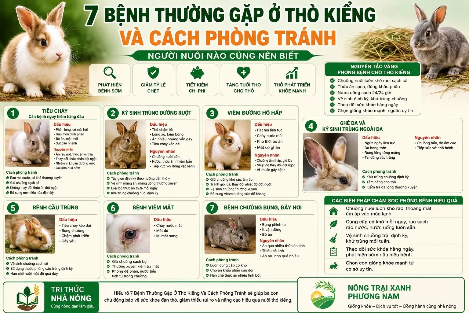 Chia Sẻ Kiến Thức Và Kinh Nghiệm Chăm Sóc Vật Nuôi Và Cây Trồng
