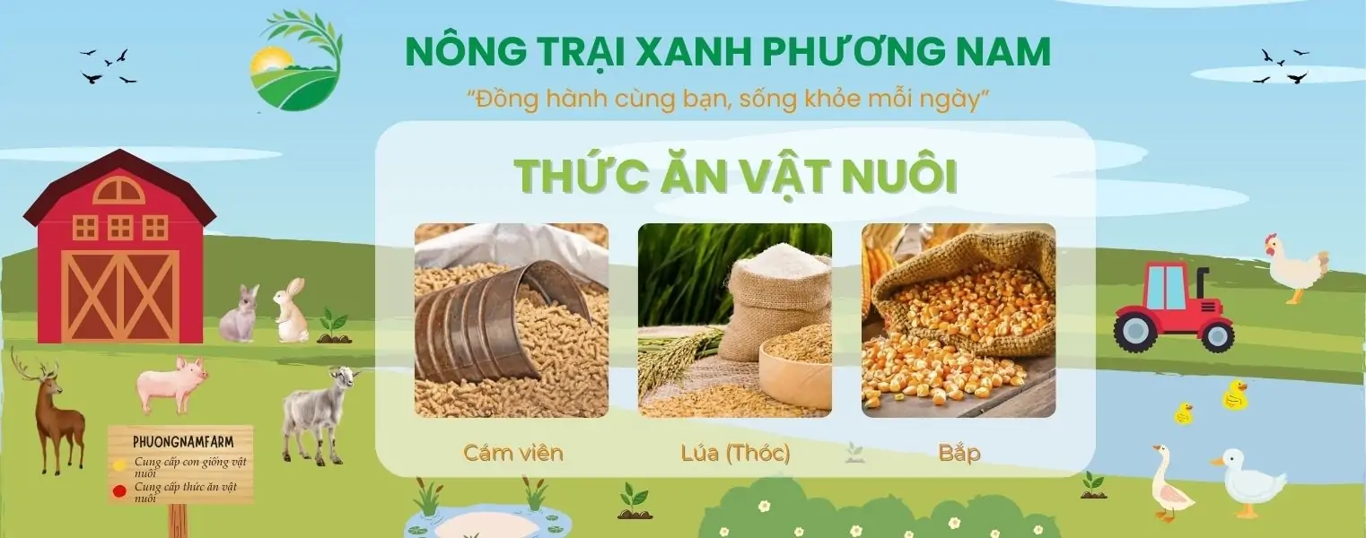 Địa chỉ trại giống uy t&iacute;n miền Nam