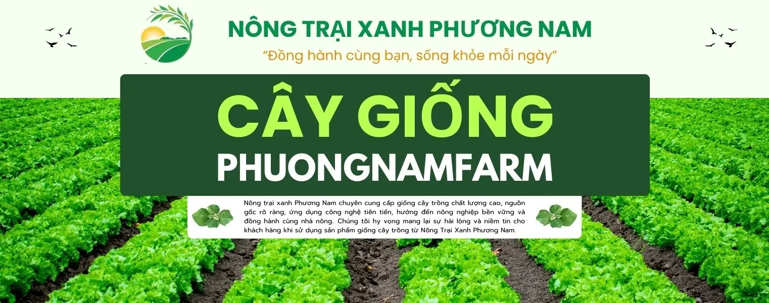 Địa chỉ trại giống uy t&iacute;n miền Nam