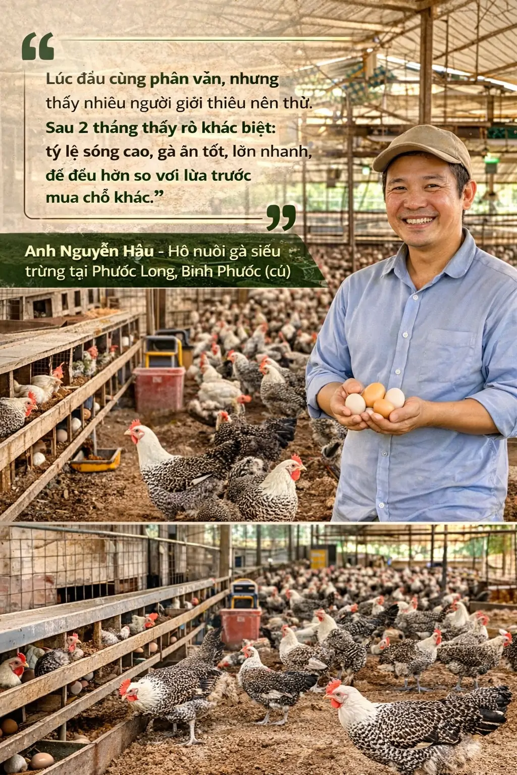 Kh&aacute;ch h&agrave;ng n&oacute;i g&igrave; khi mua con giống tại N&ocirc;ng trại Xanh Phương Nam