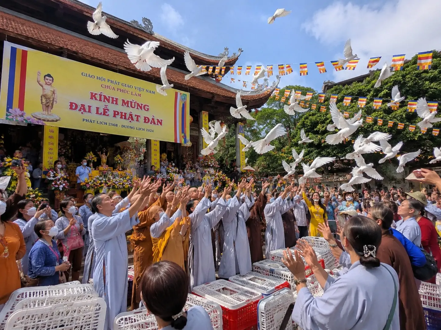 Nuôi ngỗng trắng phong thủy