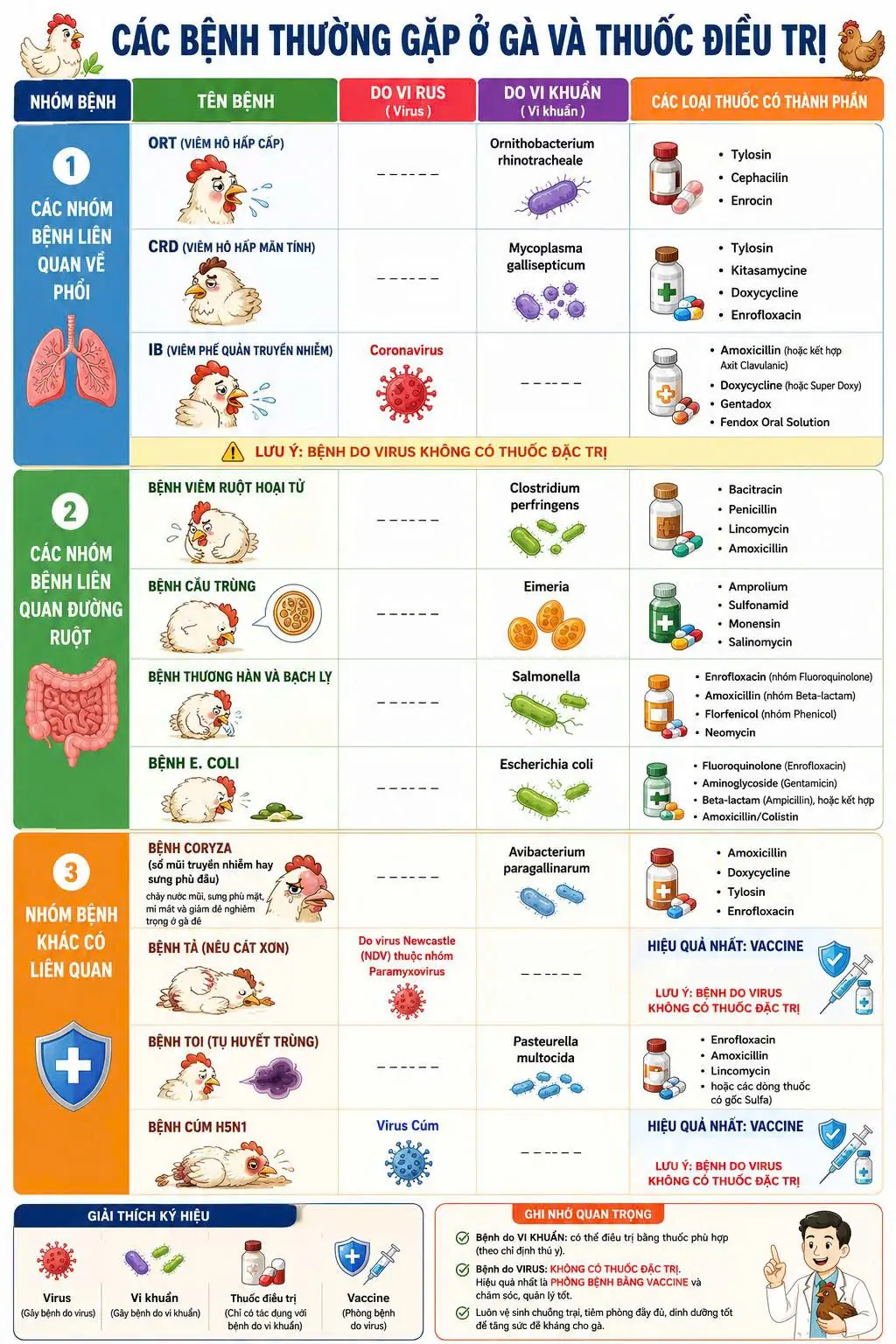 C&aacute;c Bệnh Thường Gặp Ở G&agrave;