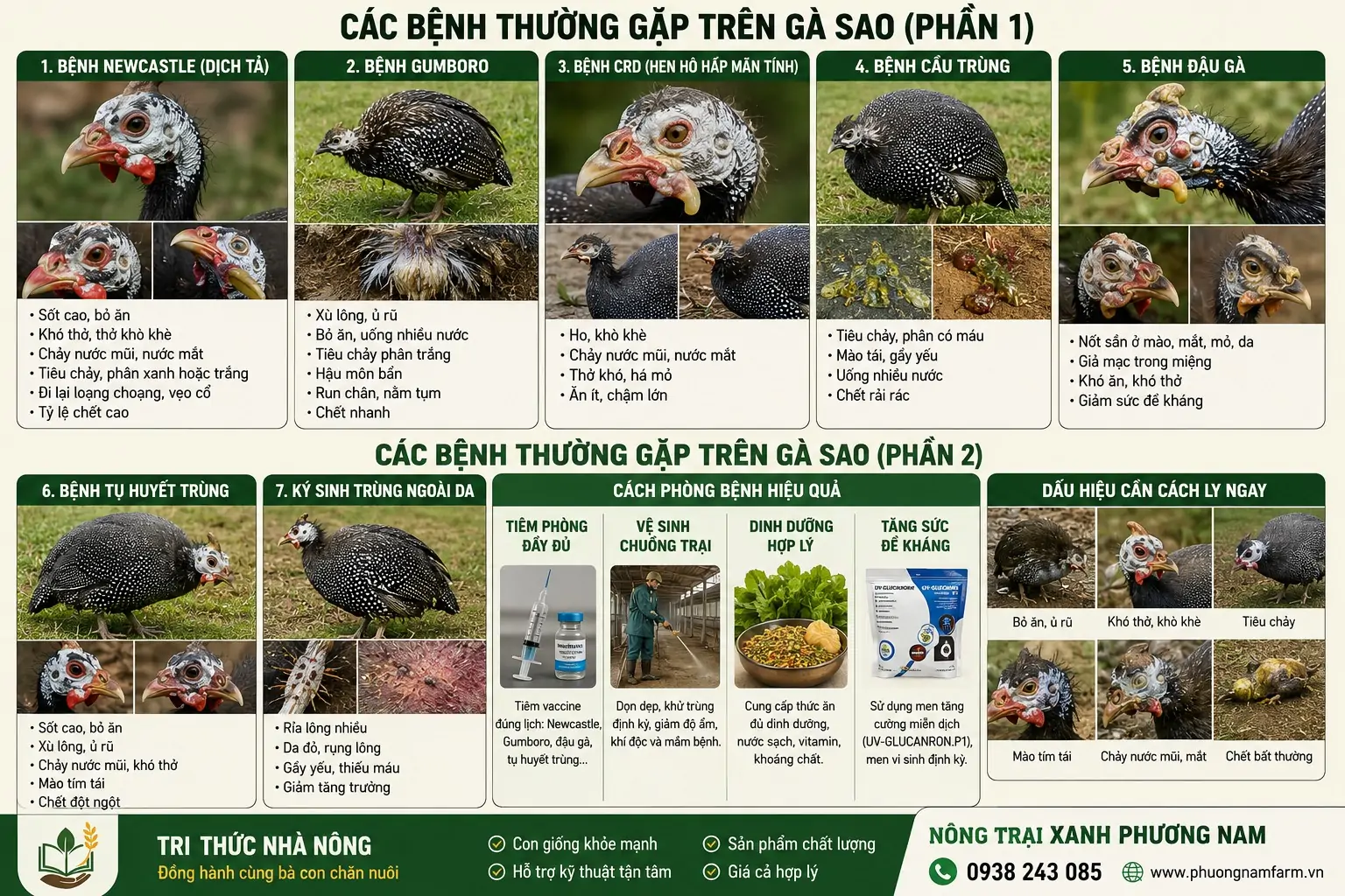 Thỏ kiểng chế độ ăn theo từng tháng tuổi