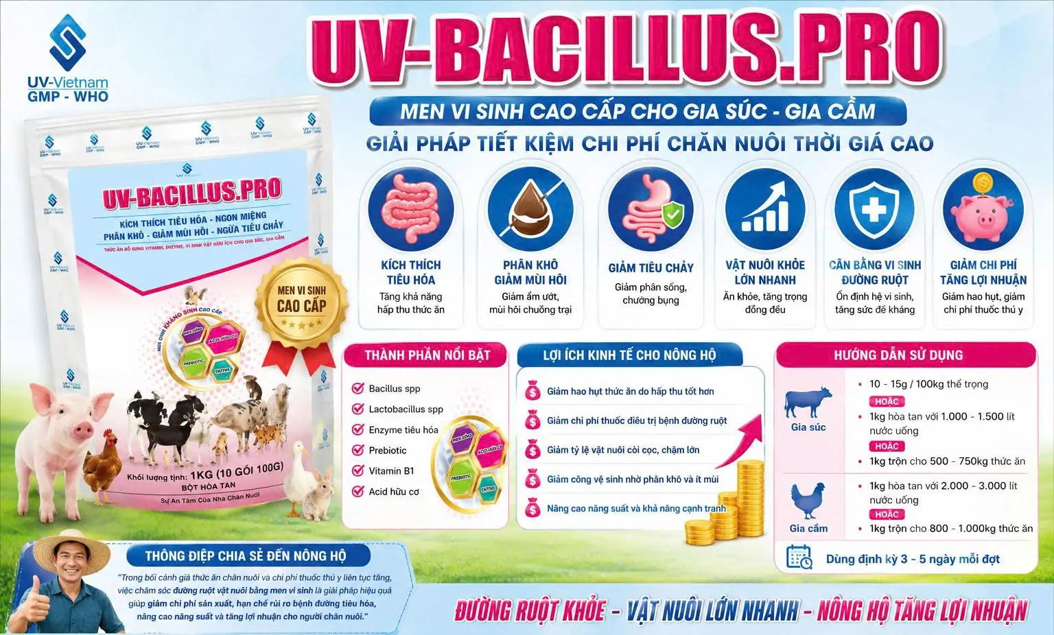 Kỹ thuật ấp trứng Gà Hơ Mông
