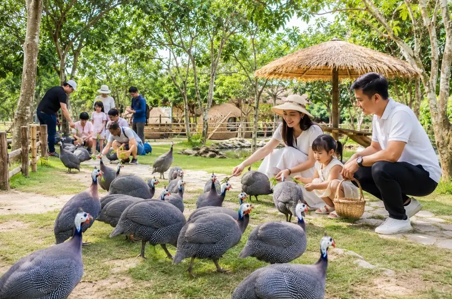 Gà cẩm thạch có thực sự mang lại hiệu quả kinh tế?