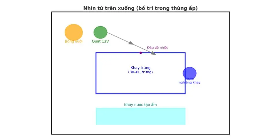 Cách Tự Chế Máy Ấp Trứng Gia Cầm Đơn Giản, Hiệu Quả Tại Nhà