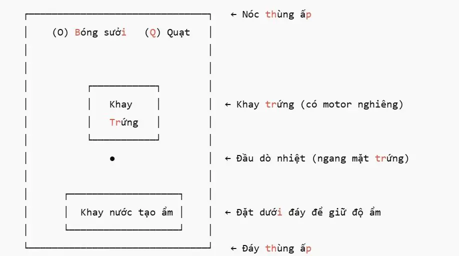 Cách tự chế máy ấp trứng gia cầm đơn giản, hiệu quả tại nhà