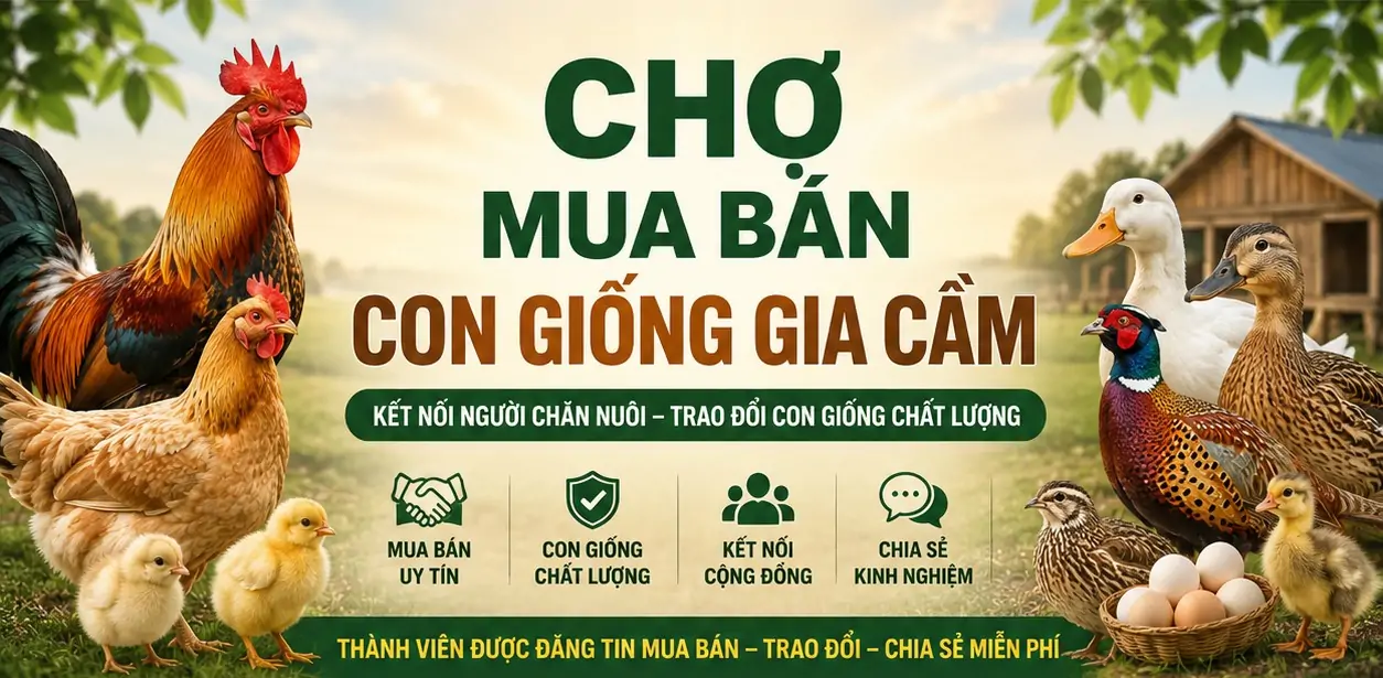 10 Giống vật nuôi theo mô hình tự cung tự cấp quy mô nhỏ