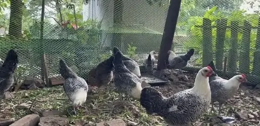 TRI THỨC NHÀ NÔNG