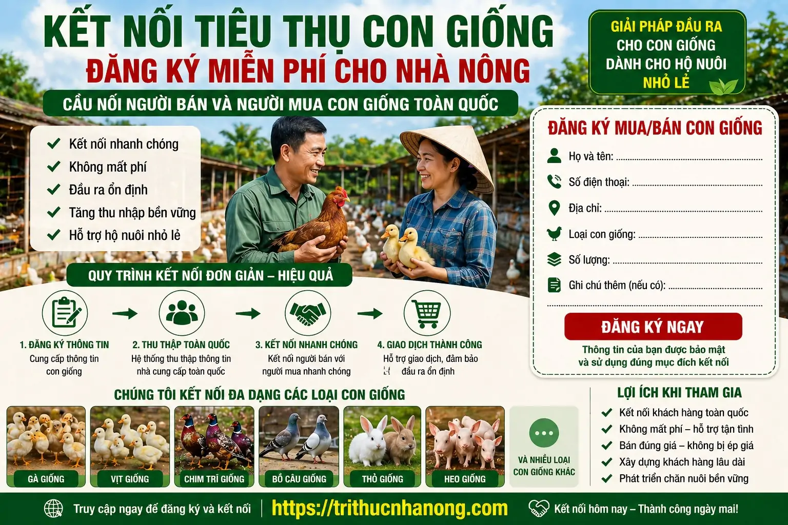 10 Giống vật nuôi theo mô hình tự cung tự cấp quy mô nhỏ