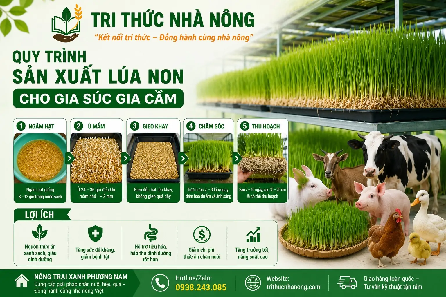 10 Giống vật nuôi theo mô hình tự cung tự cấp quy mô nhỏ
